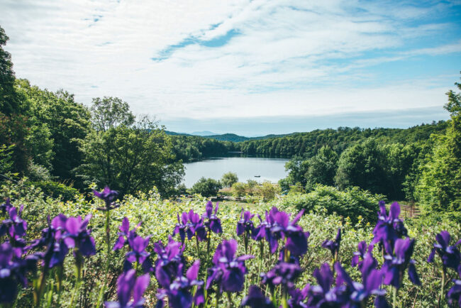 Activation Retreat - Mindsmatter